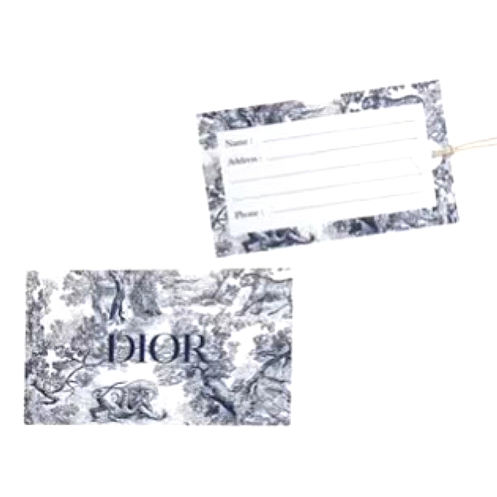 Dior Paper Luggage Tag Set (6 pcs)